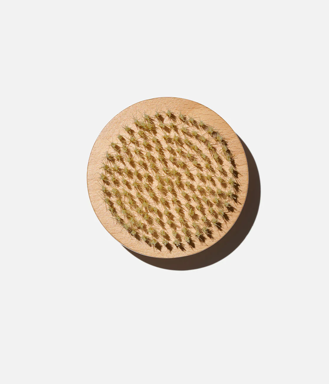 The Body Brush - Image 3