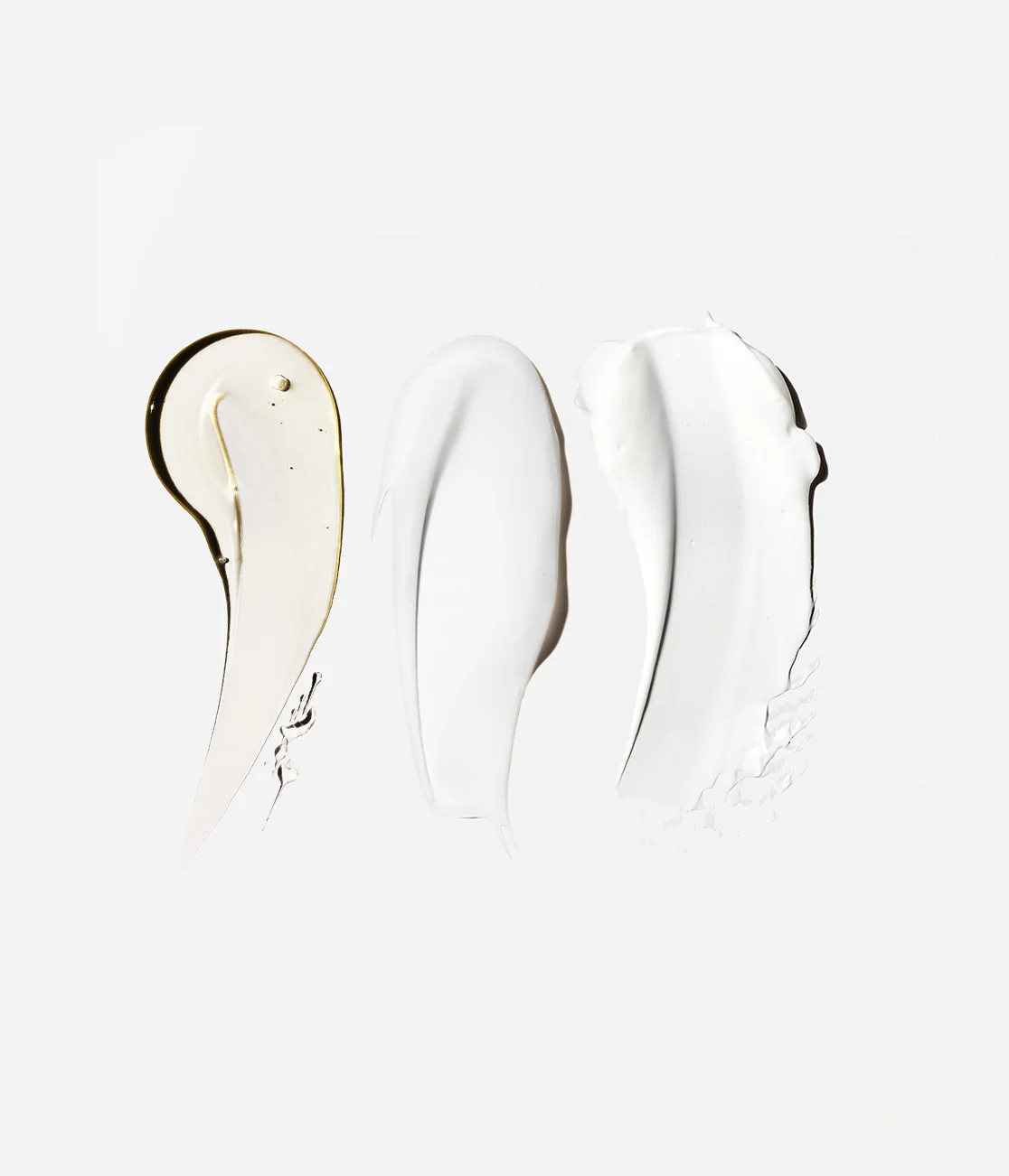 The Body Essentials - Image 15