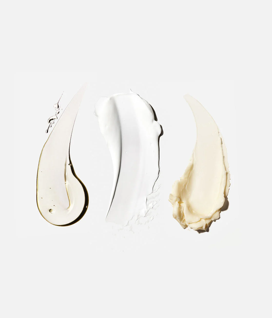 The Body Essentials - Image 9